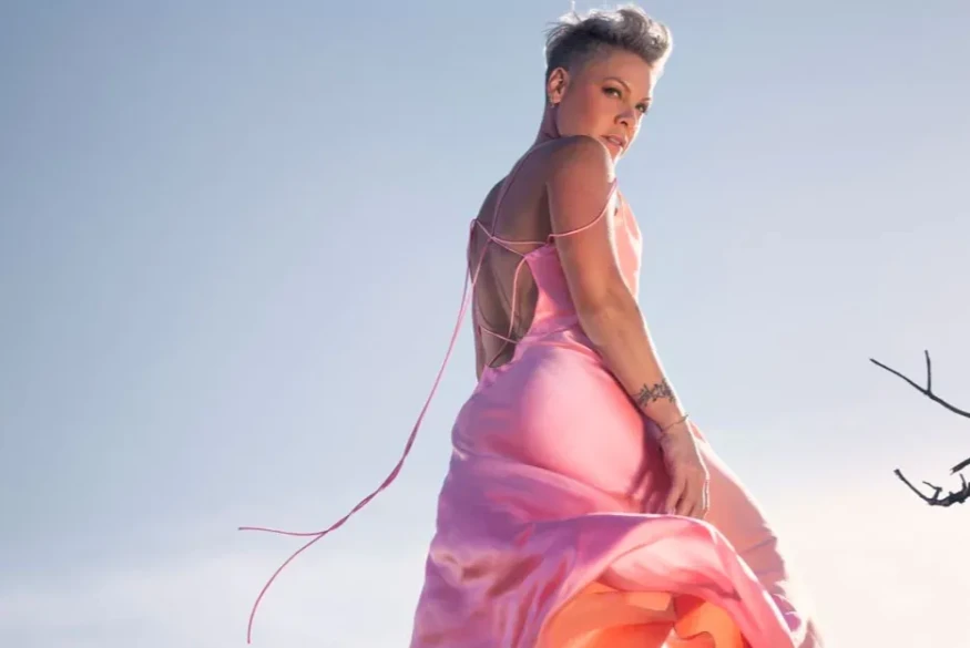 [CLIP] Pink - All Out Of Fight