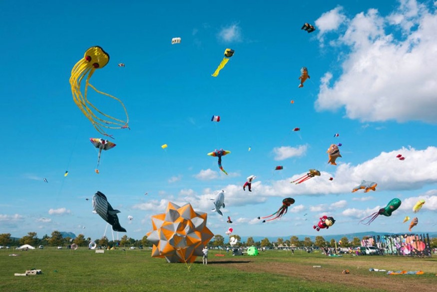 L'agenda du week-end en PACA (25, 26 & 27 octobre 2024)