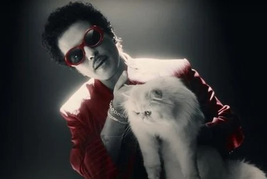 [CLIP] Bruno Mars - Fat Juicy & Wet